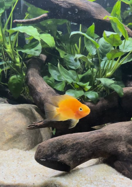 6B3C8421-D221-402B-9719-1634E1C1D706.jpeg 6B3C8421-D221-402B-9719-1634E1C1D706.jpeg