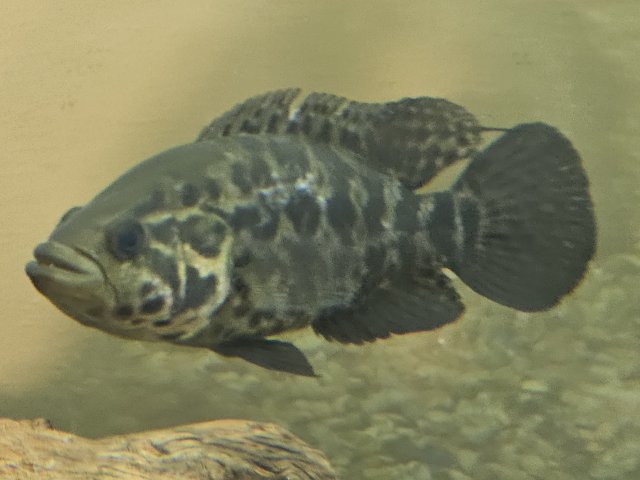 20230228_225845.jpg