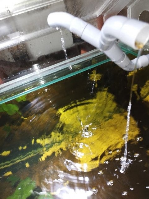 aIMG_20230307_163542.jpg