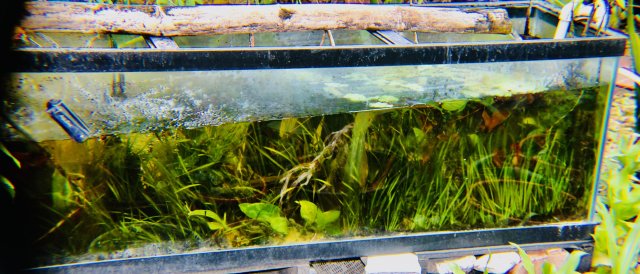 IMG_0231.jpeg IMG_0231.jpeg