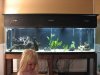 fish tank 006.jpg fish tank 006.jpg