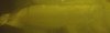 Gandalf 2.jpg Gandalf 2.jpg