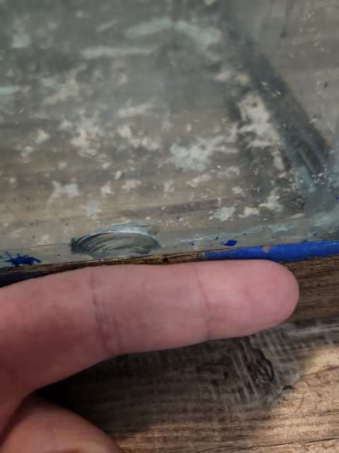 20230310_122422.jpg