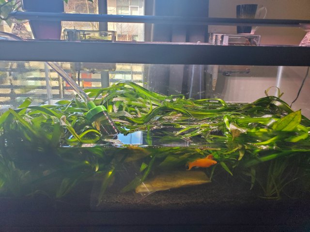 20230310_124758.jpg