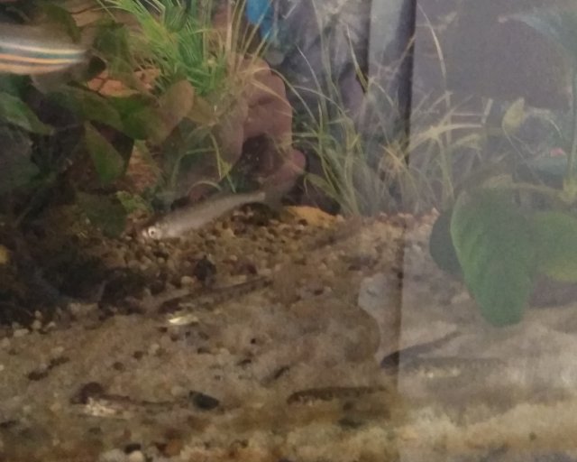 IMG_20230312_125749 hruziky nové.jpg IMG_20230312_125749 hruziky nové.jpg