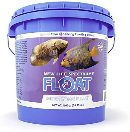 51DyitNGXtL._AC_SY580_.jpg 51DyitNGXtL._AC_SY580_.jpg