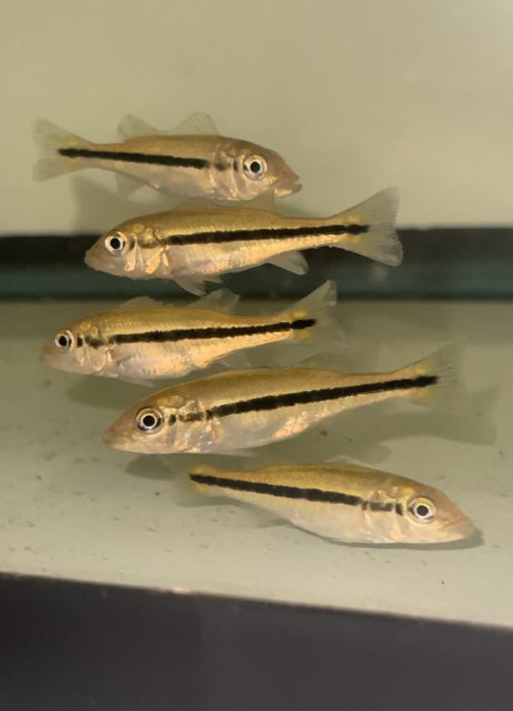 IMG_6668.jpeg IMG_6668.jpeg