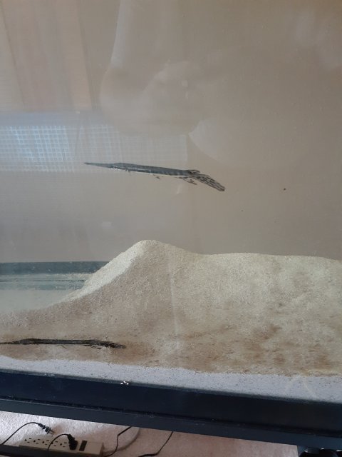 20230322_142408.jpg