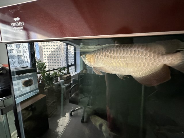 4CF54029-54AE-4C57-902E-077A49C242D9.jpeg 4CF54029-54AE-4C57-902E-077A49C242D9.jpeg