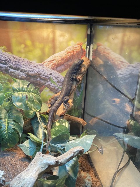 6CCB4F7E-2B25-4E15-8847-C6ED21155F58.jpeg 6CCB4F7E-2B25-4E15-8847-C6ED21155F58.jpeg