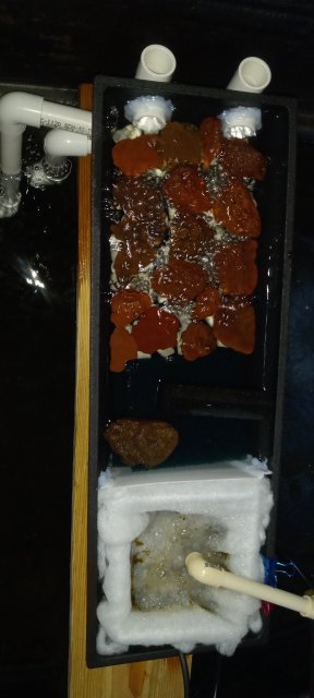 20230326_162606.jpg