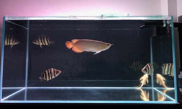 IMG_7233.jpg IMG_7233.jpg