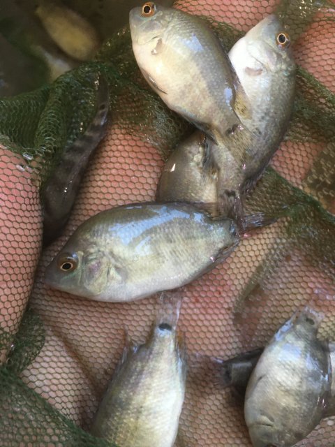 IMG_3468.JPG IMG_3468.JPG