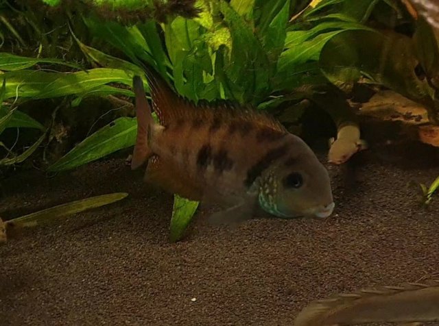 VideoCapture_20230327-203052.jpg