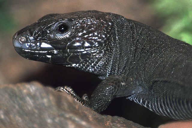 IMG_15731HD.jpg IMG_15731HD.jpg