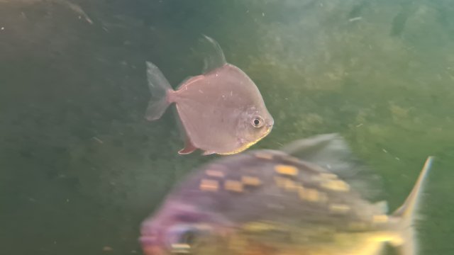 20230404_205030.jpg