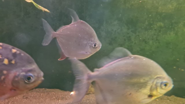 20230404_205045.jpg