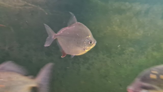 20230404_205029.jpg