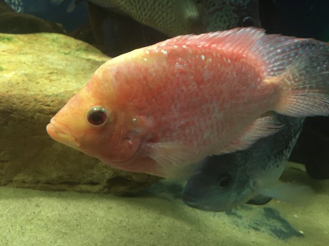 IMG_E3606.JPG IMG_E3606.JPG