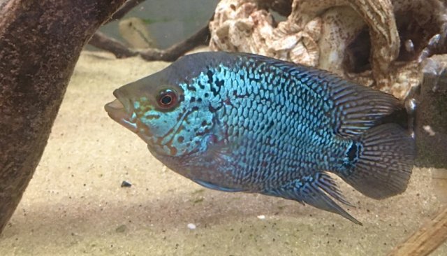 IMG_E3607.JPG IMG_E3607.JPG