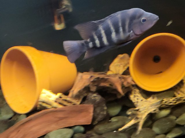 20230202_162629.jpg
