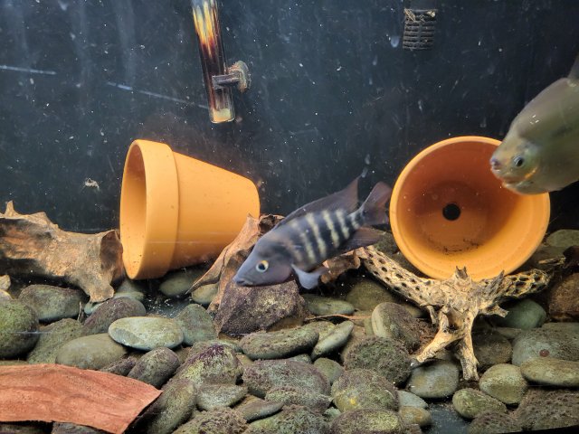 20230120_095036.jpg