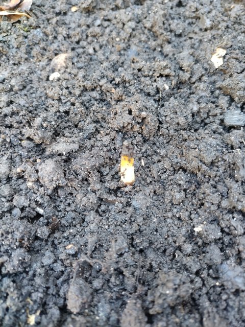 IMG_20230407_132017.jpg
