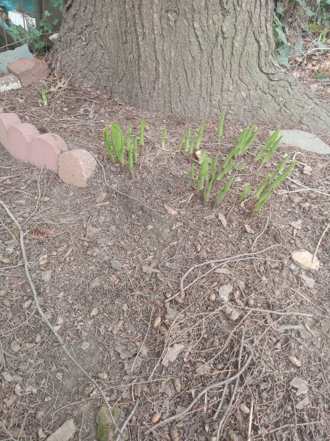 20230407_103526.jpg