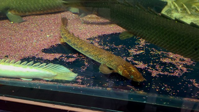 20230408_101007.jpg