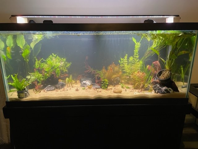 IMG_9363.jpg IMG_9363.jpg