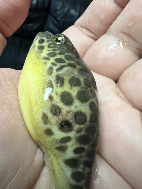 IMG_8023.jpeg IMG_8023.jpeg