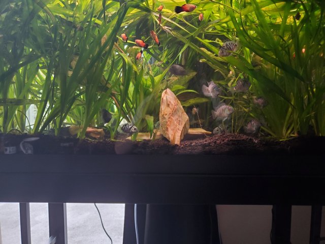 20230420_171738.jpg