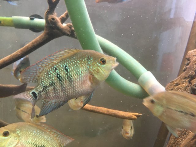 IMG_3712.JPG IMG_3712.JPG