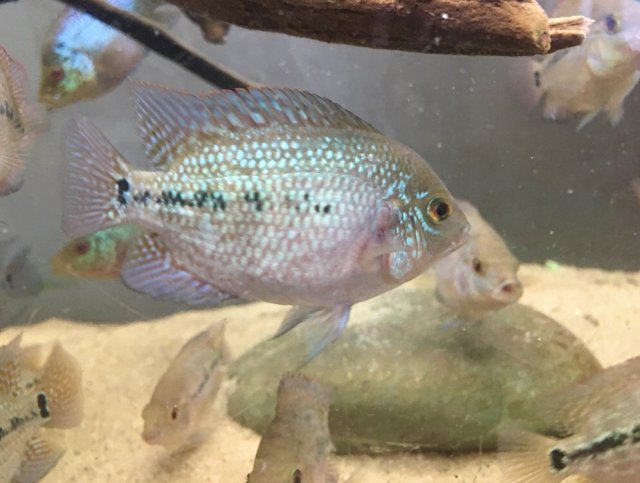 IMG_E3741.JPG IMG_E3741.JPG