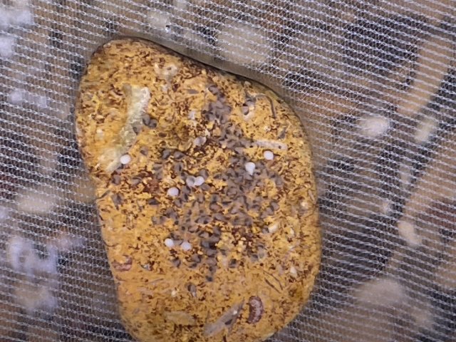 IMG_3166.jpeg IMG_3166.jpeg