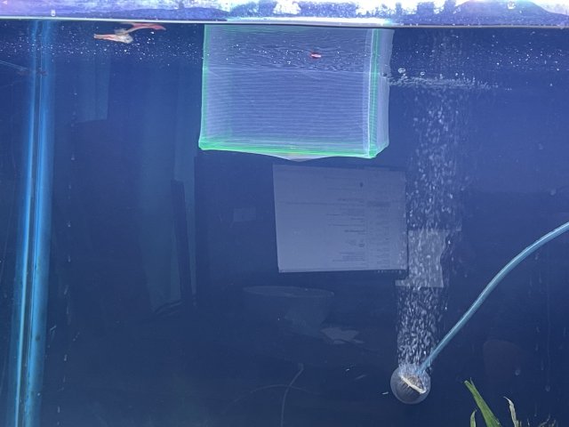 IMG_3167.jpeg IMG_3167.jpeg