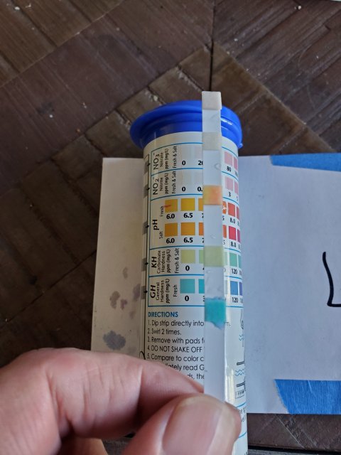 20230427_095440.jpg