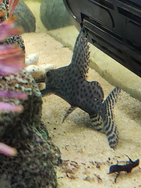 20230427_175256.jpg