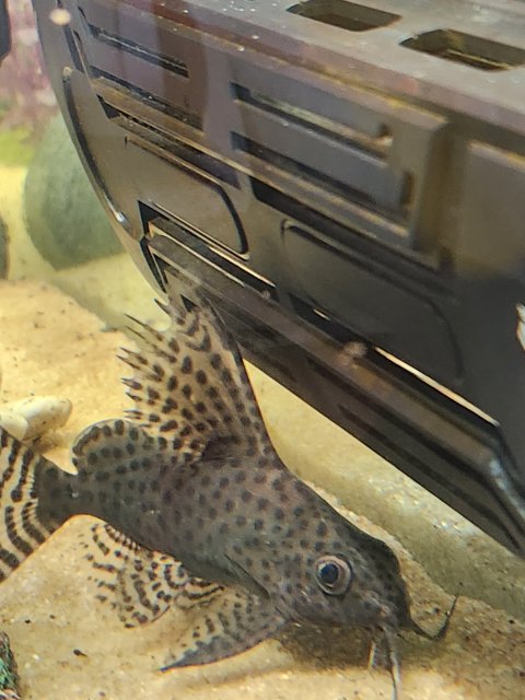 20230427_175309.jpg