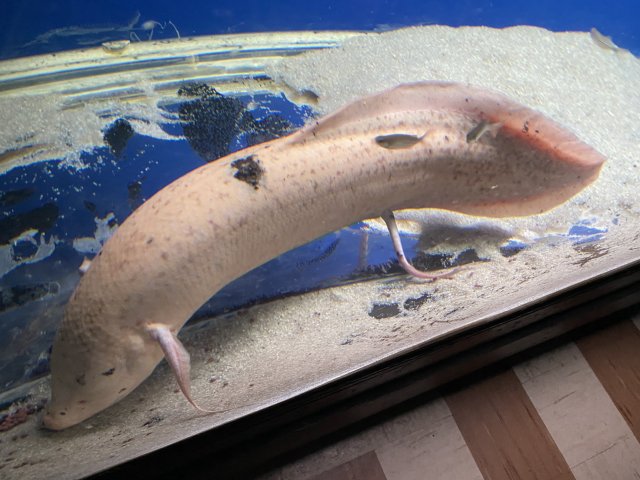 FCDAA3D5-E434-434D-98E9-1F26D4A8964D.jpeg
