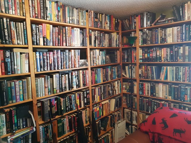 library 1.jpg