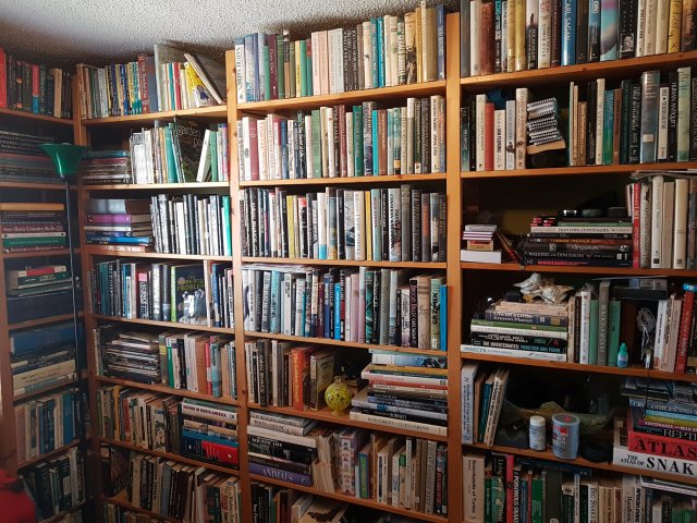 library 2.jpg