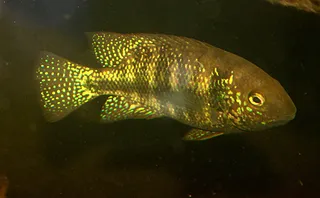 1683130507540.png 1683130507540.png