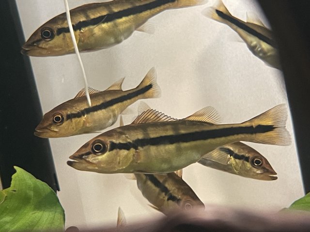 IMG_8976.jpeg IMG_8976.jpeg