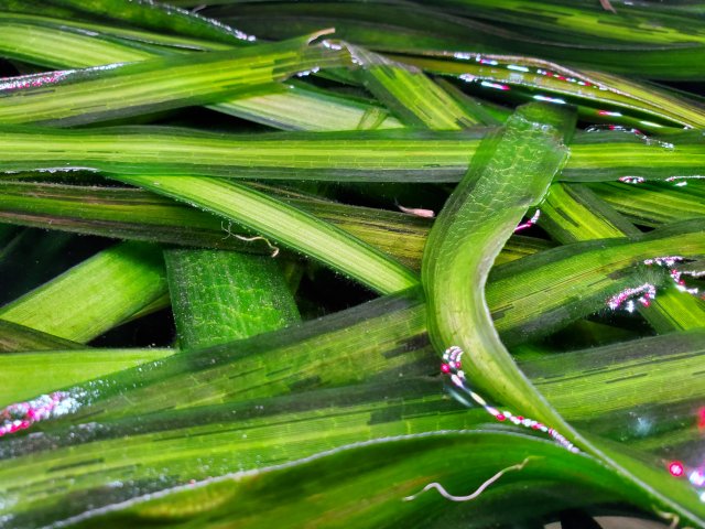 20230505_162340.jpg