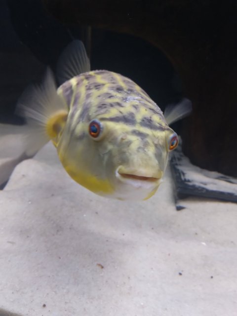 20230430_133449.jpg