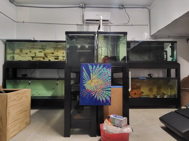 20230509_185449.jpg 20230509_185449.jpg