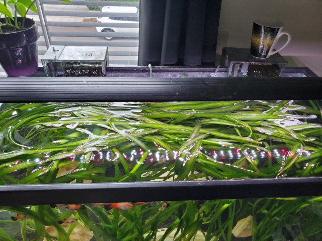 20230506_144728.jpg