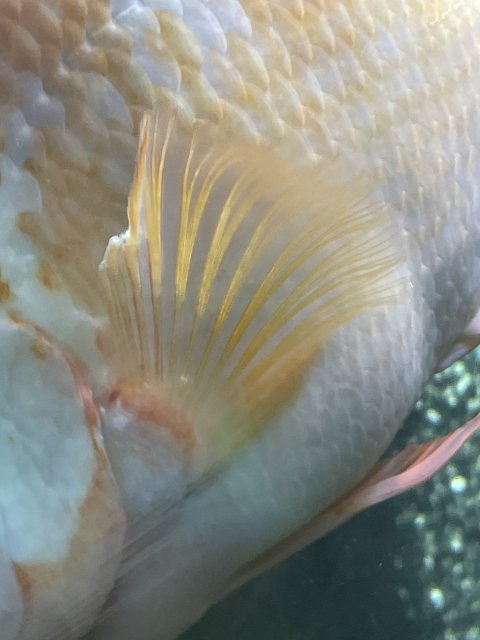 IMG_8832.jpeg