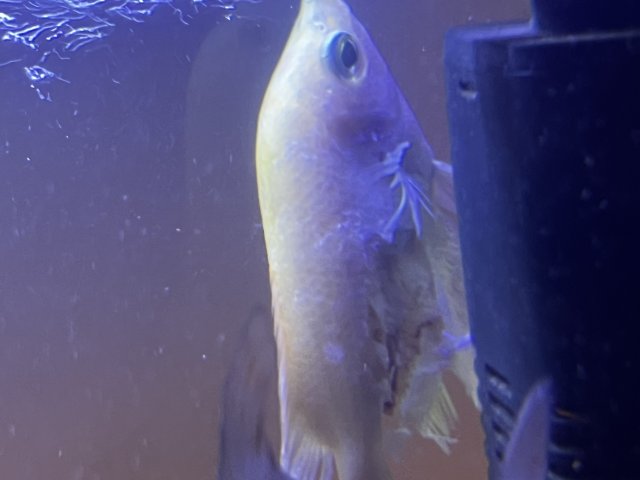 IMG-5117.jpg IMG-5117.jpg